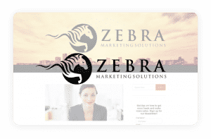 Zebra Marketing